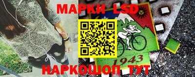 дживик Бийск