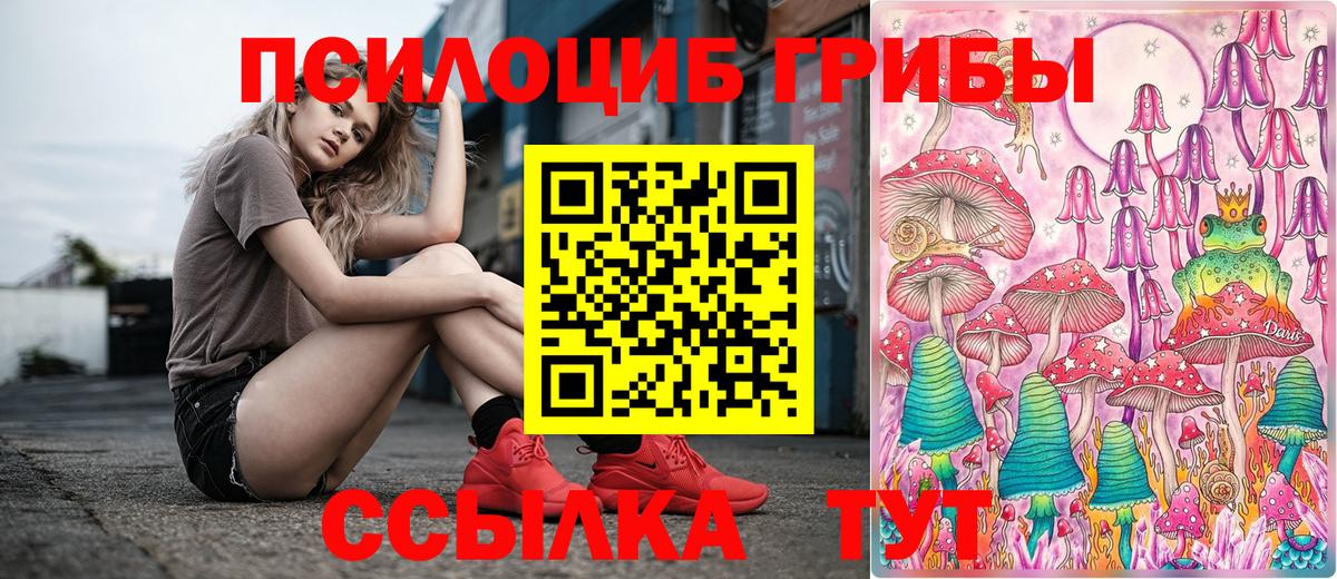 Зеленодольск  Псилоцибиновые грибы Cubensis  Вход с VPN  Галлюциногенные грибы MAGIC MUSHROOMS 