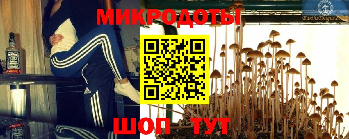 Галлюциногенные грибы Magic Shrooms Зеленодольск
